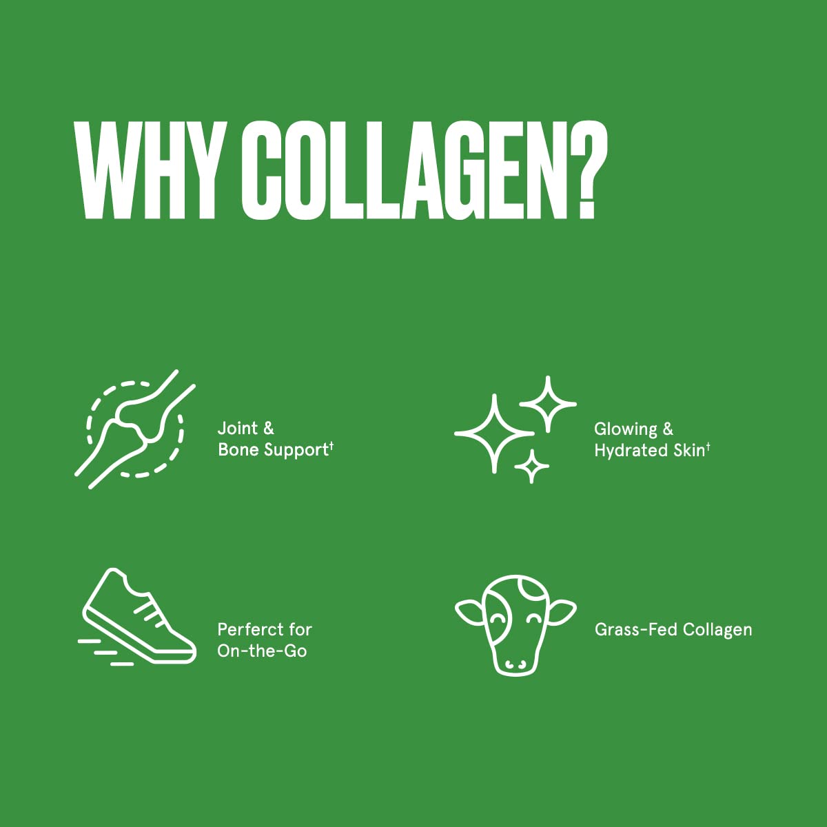 Bulletproof Chocolate Collagen Protein Powder with MCT Oil, 19g Protein, 42.3 Oz, Value Size, Collagen Peptides and Amino Acids for Healthy Skin, Bones and Joints